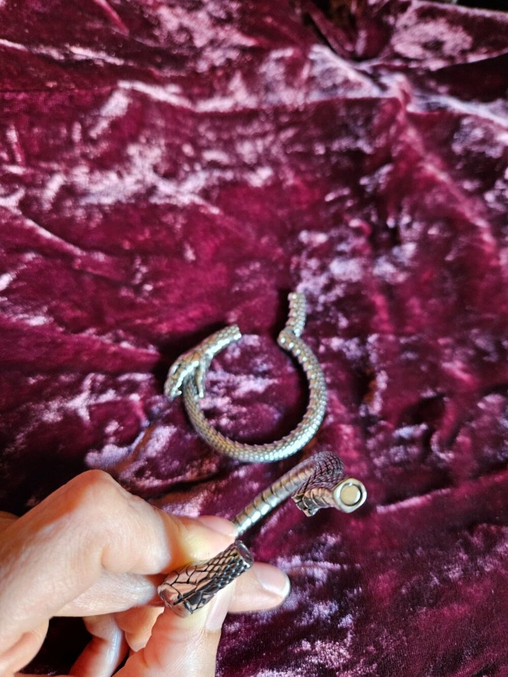 Snake Ouroboros Hoop Ear Weights - Picture 3 of 3